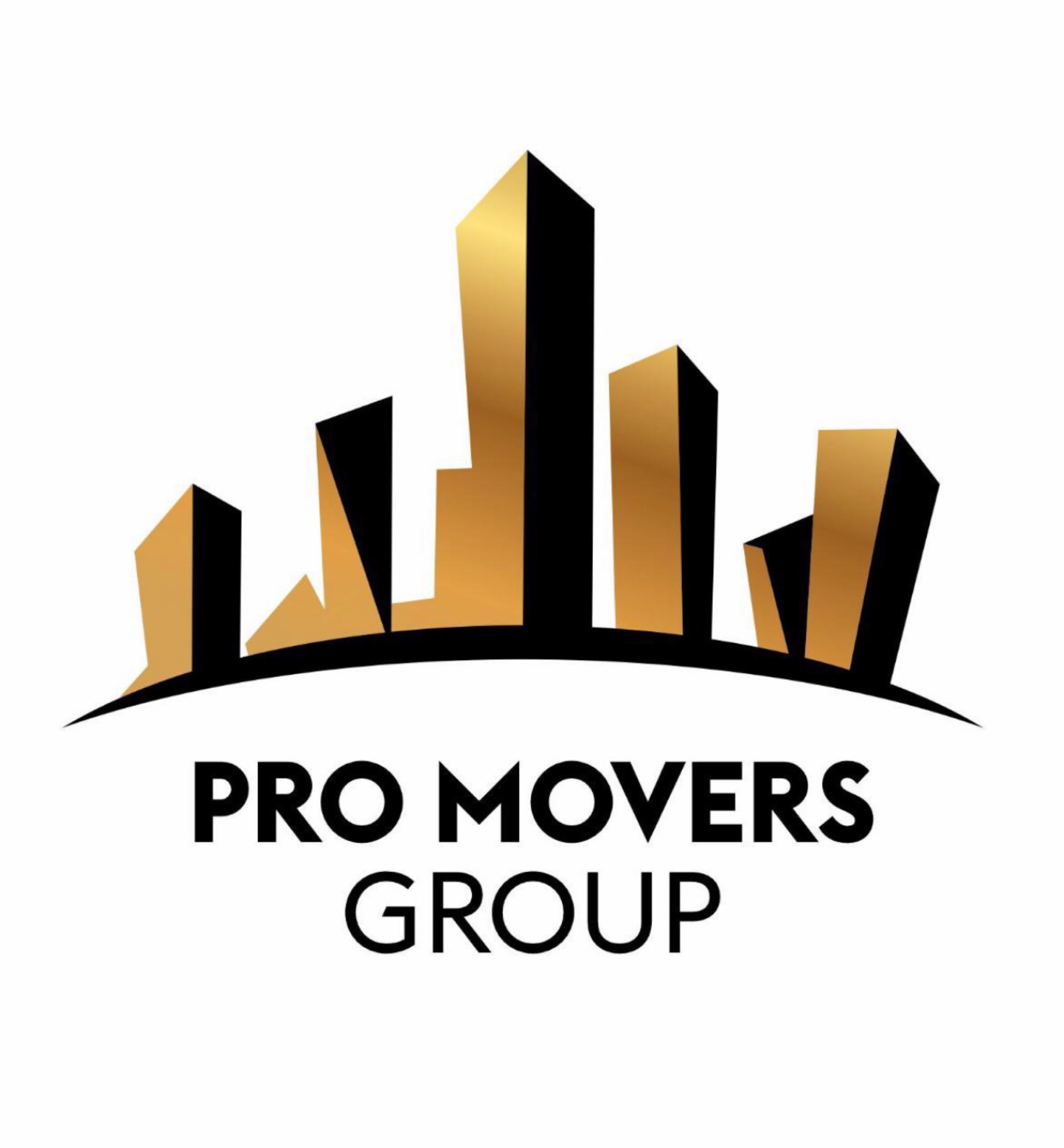 Professional Movers Group Logo
