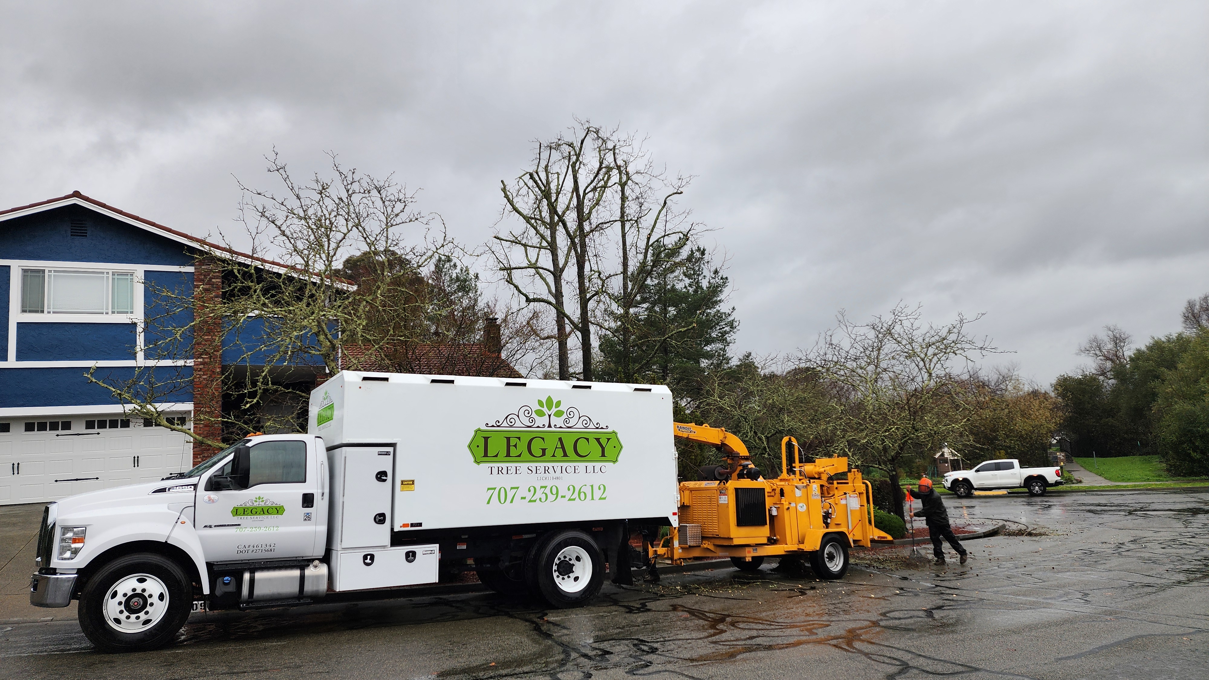 Legacy Tree Service LLC Logo