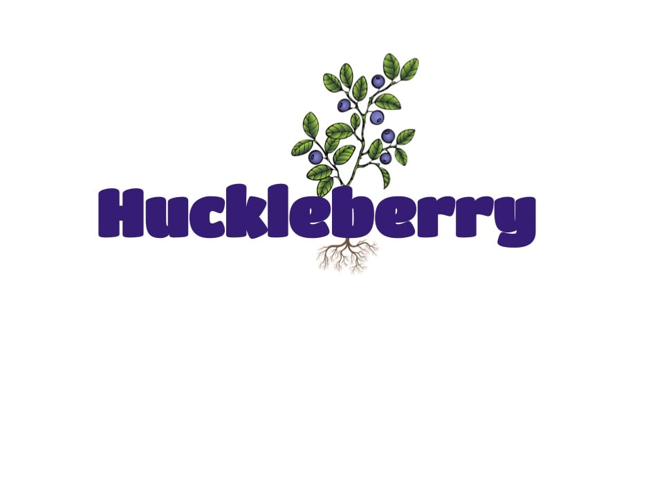 Huckleberry Lights and Landscape Logo