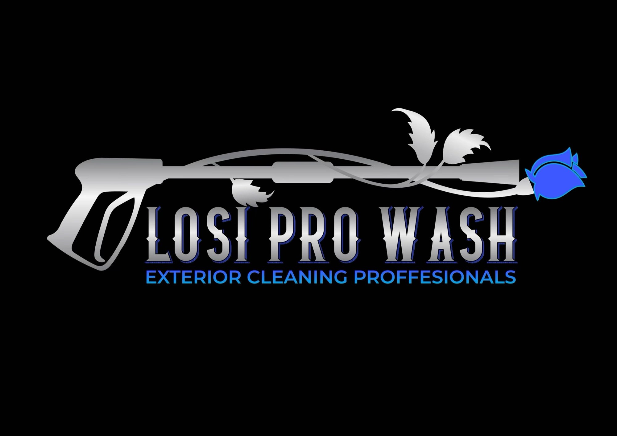 LOSI PRO WASH LLC Logo