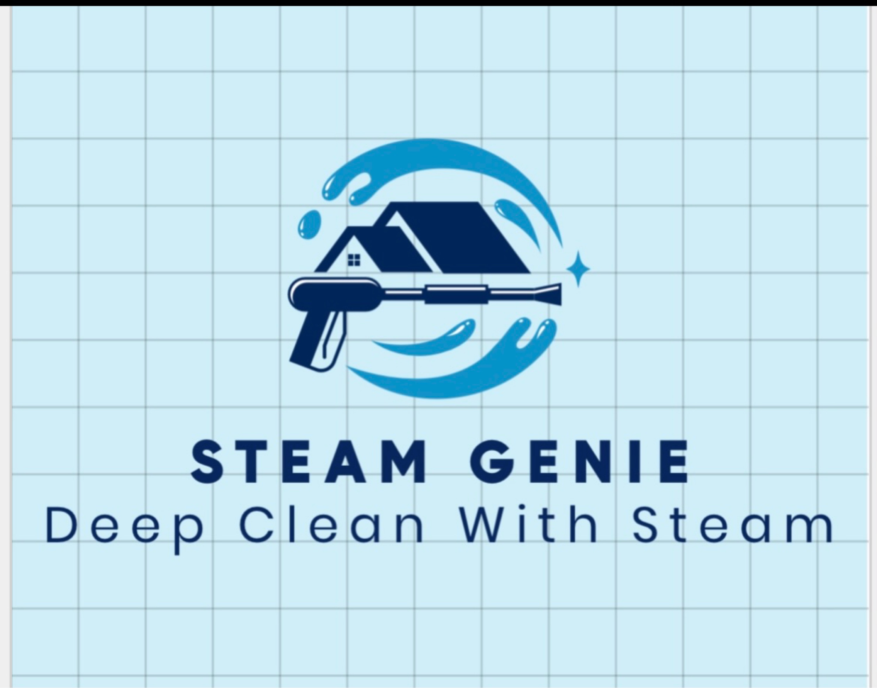 Steam Genie Logo