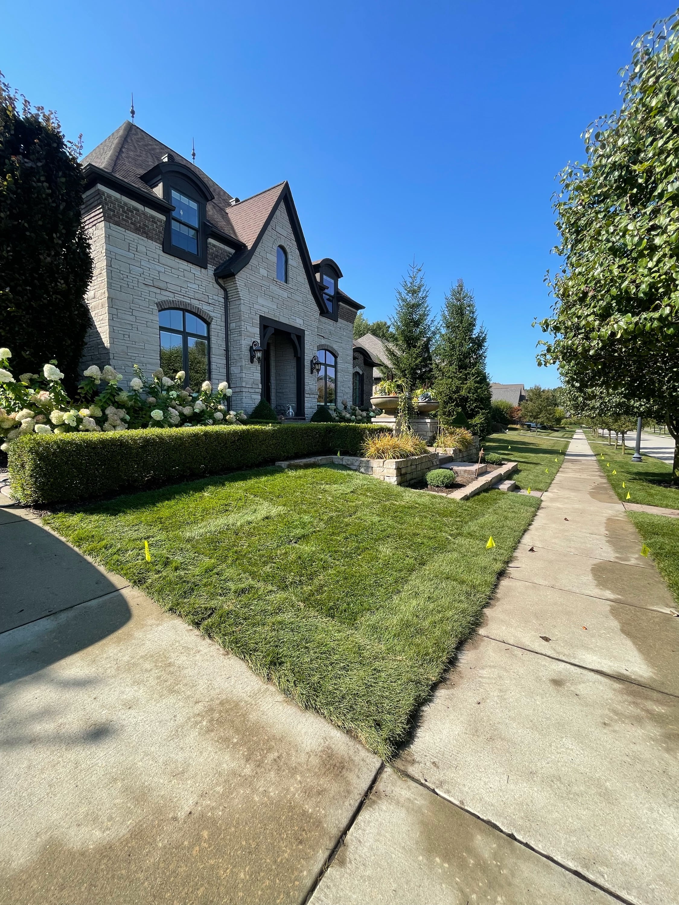 Green Carpet Sod Logo