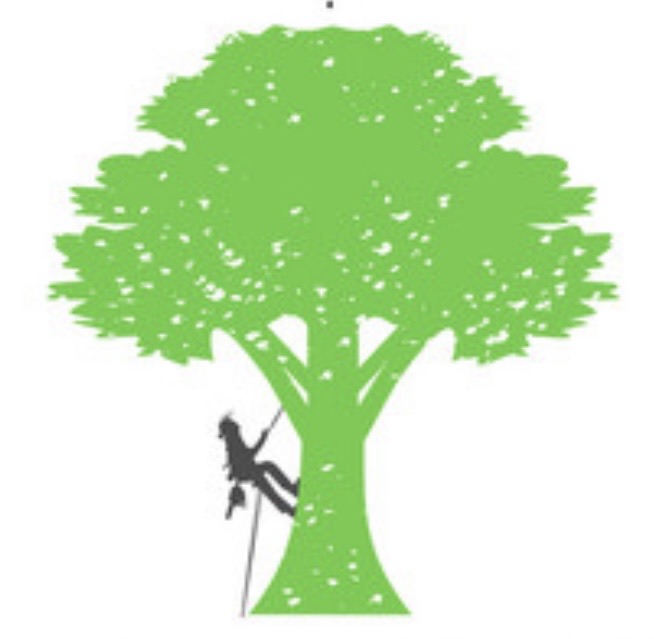 All About Lawn & Landscape, LLC Logo