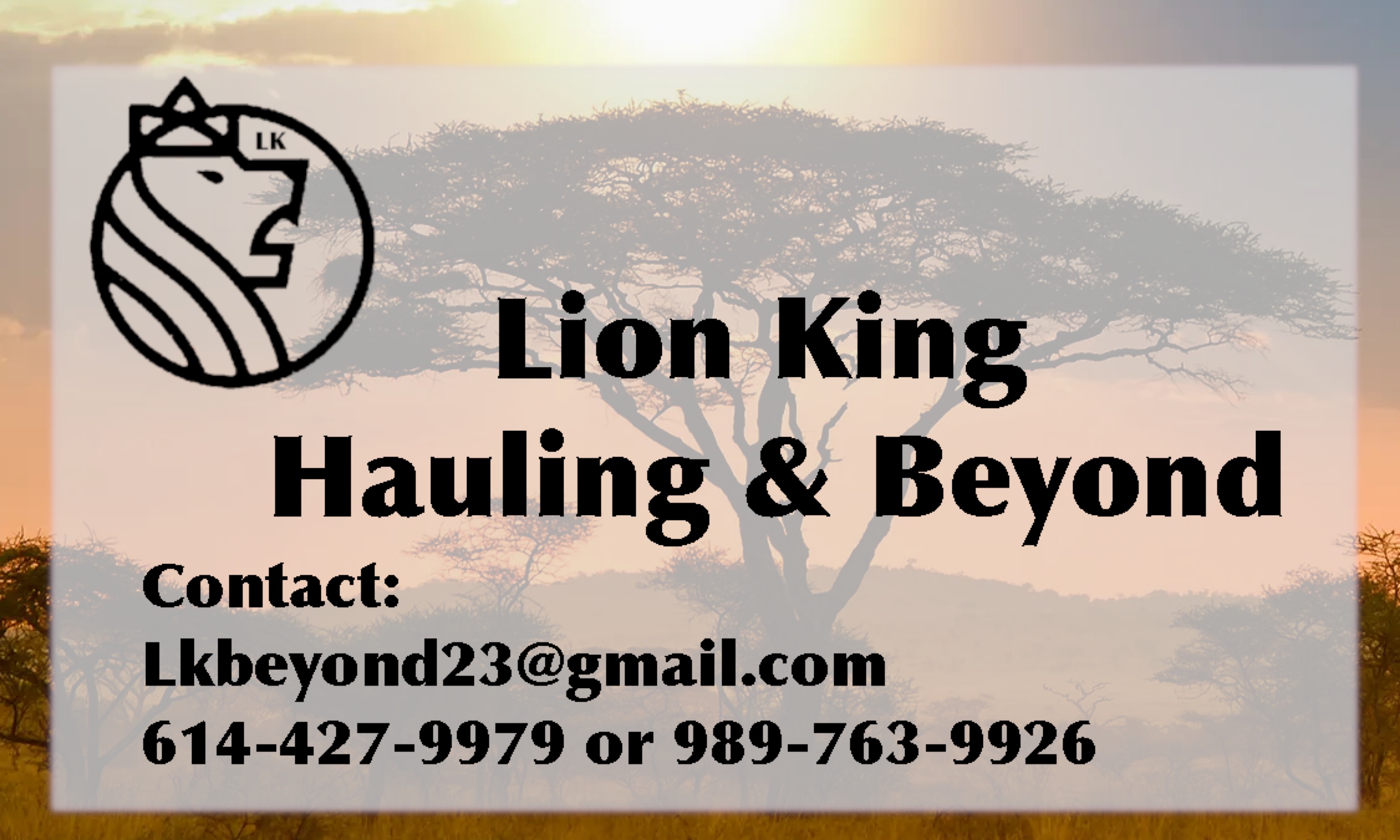 Lion King Hauling & Beyond Logo