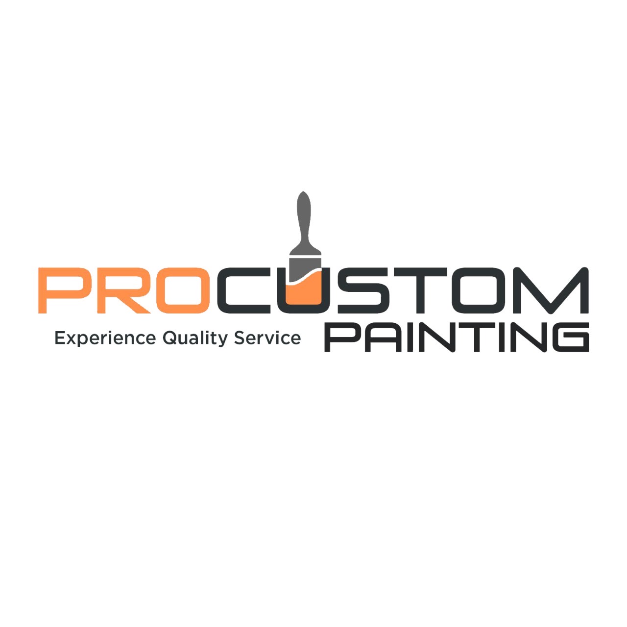 Pro Custom Painting Logo