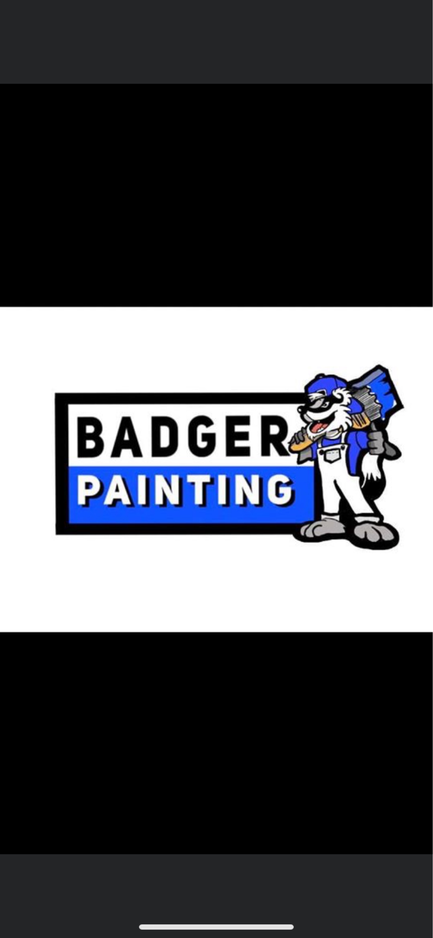 Badger Painting Logo