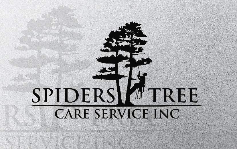 SPIDER TREE CARE SERVICE Logo