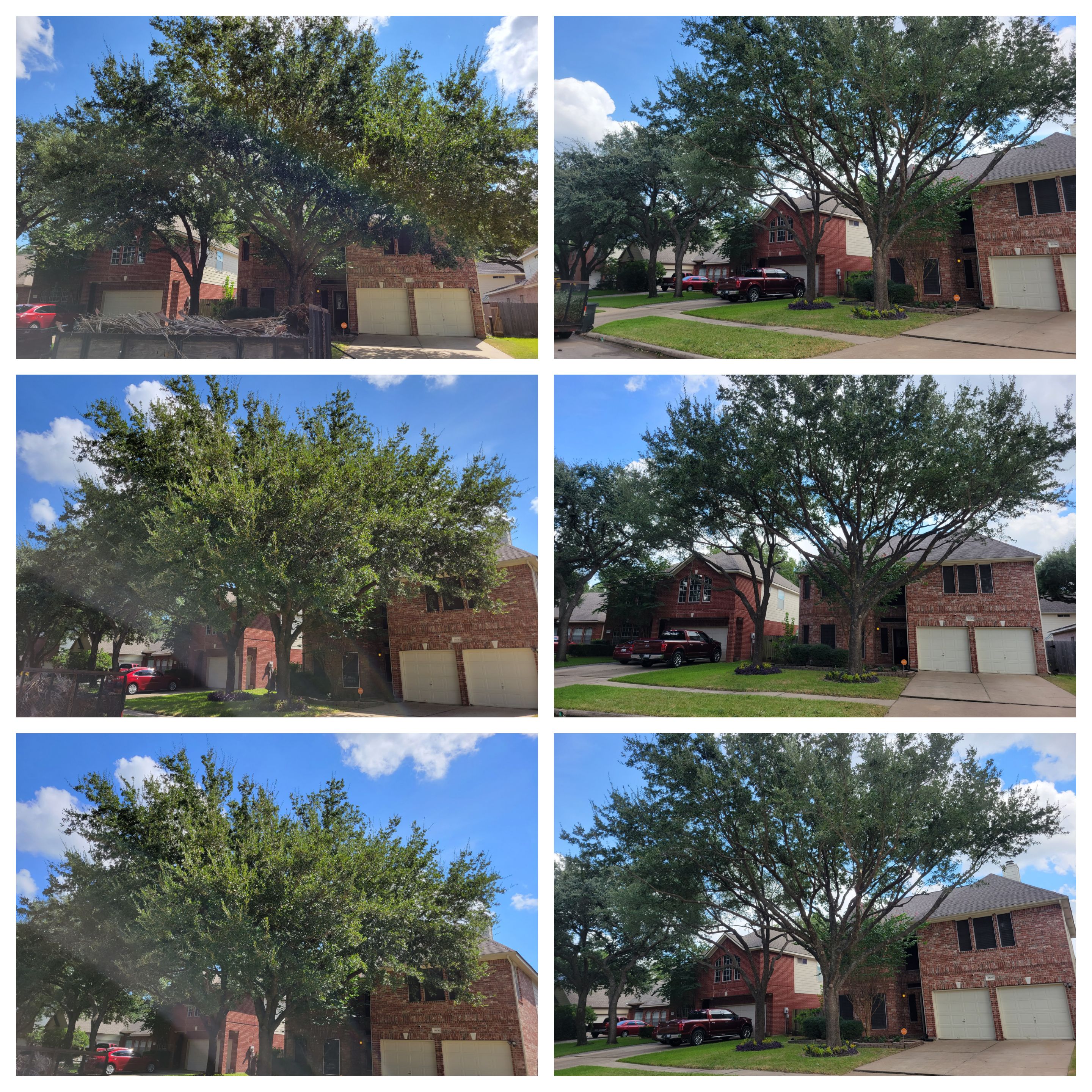 Little Shepherds Services Logo