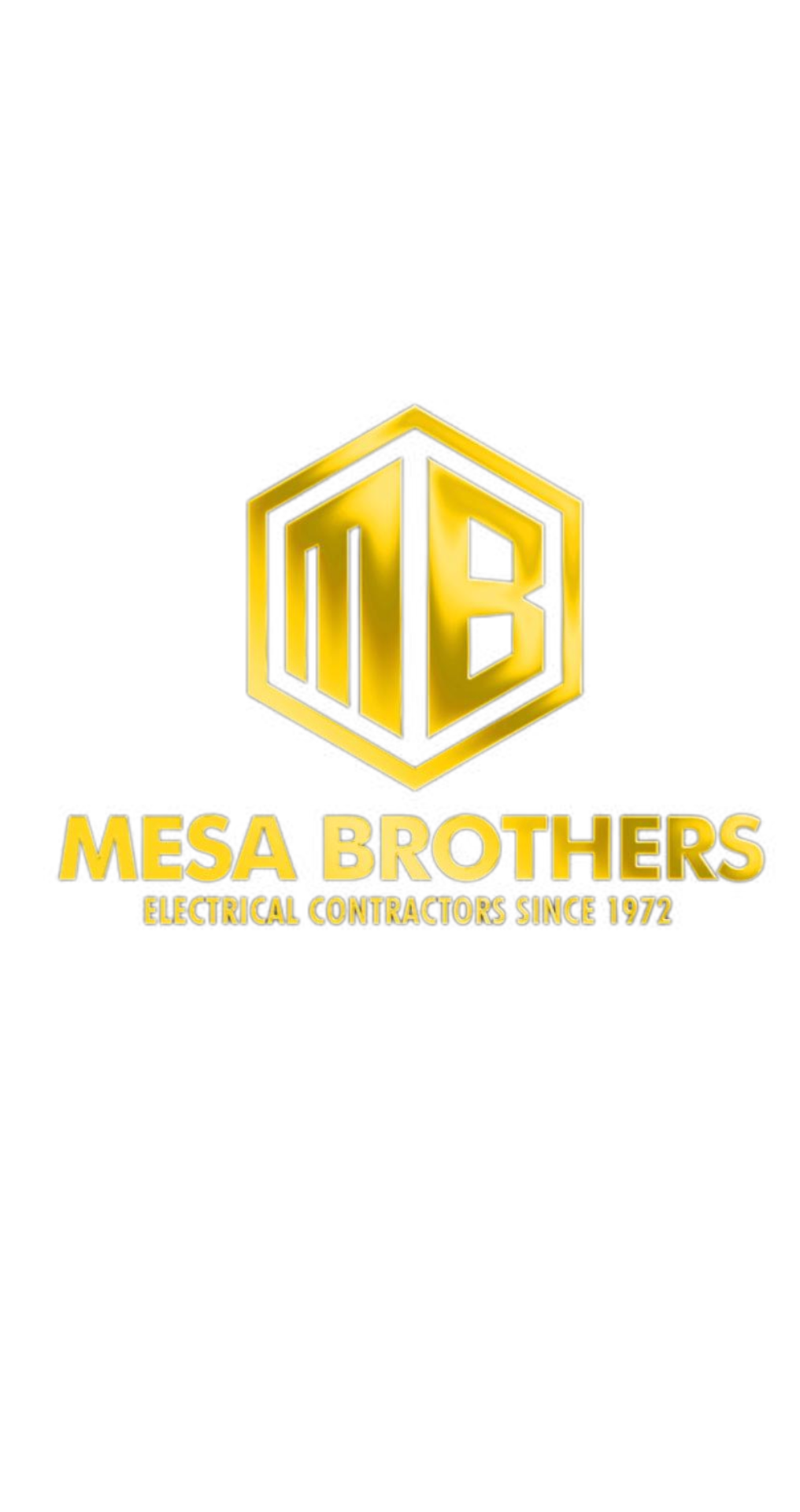 Mesa Brothers INC Logo