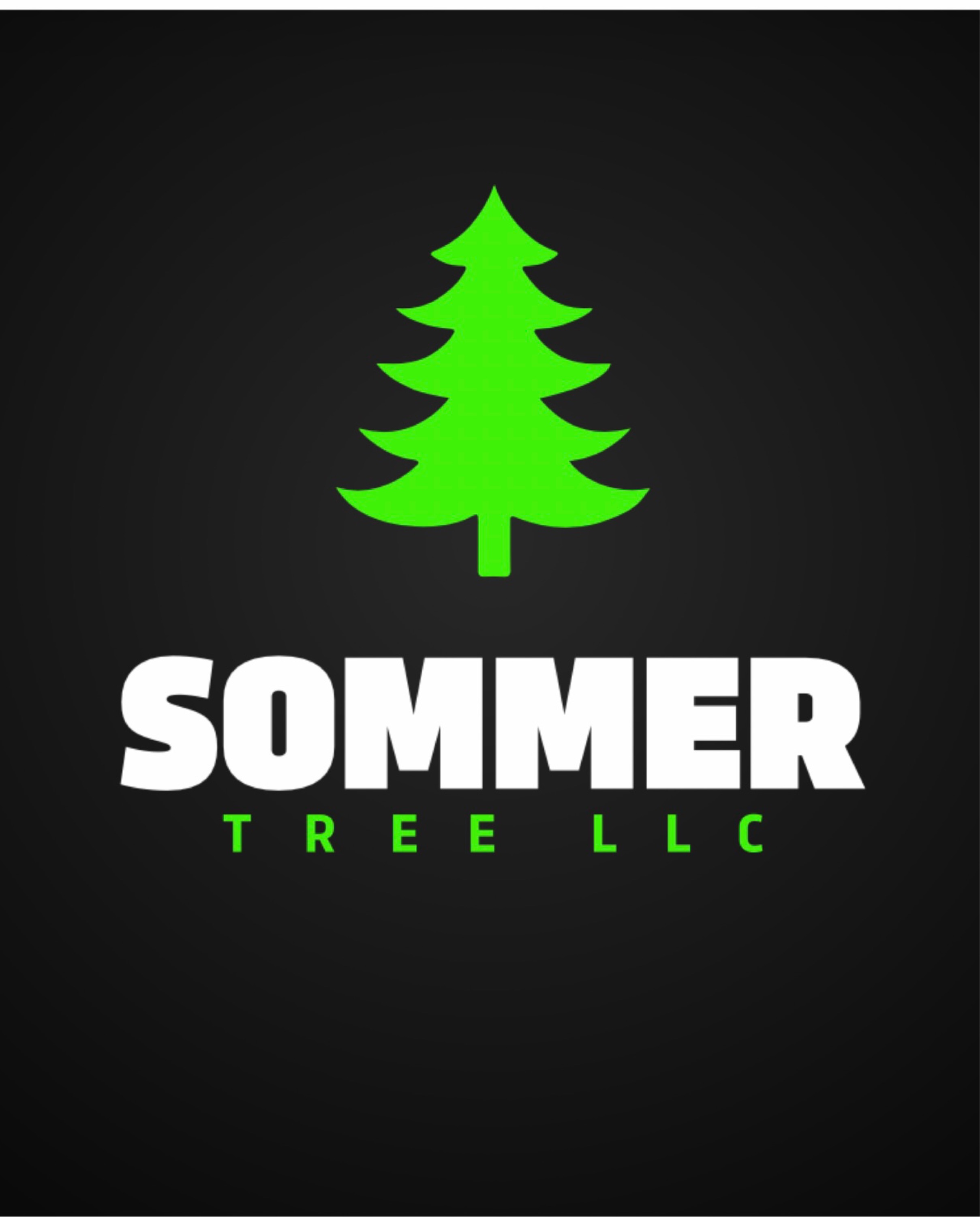 SOMMER TREE LLC Logo