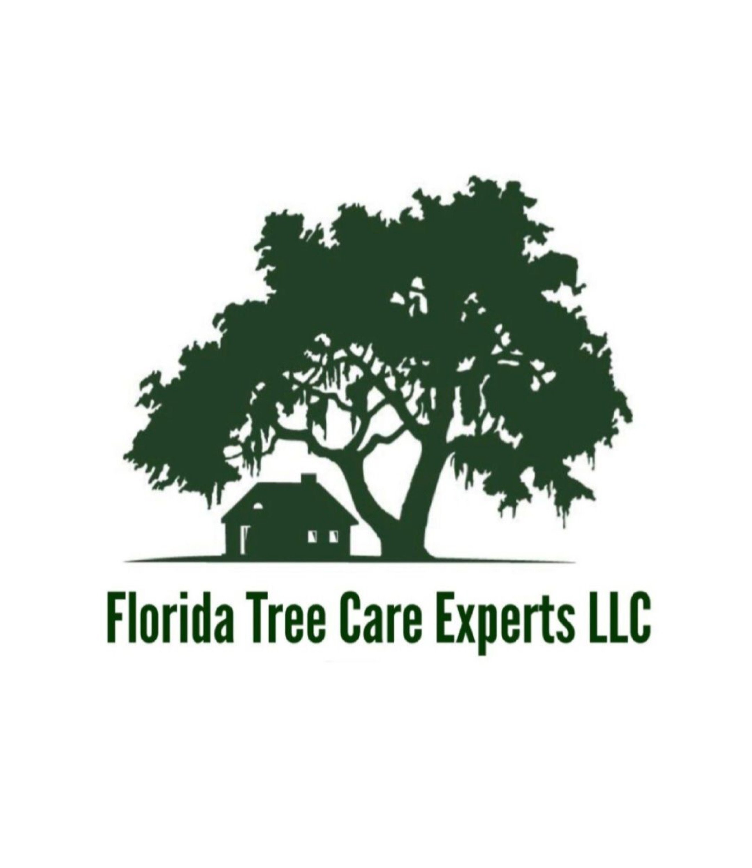 Florida Tree Care Experts, LLC Logo
