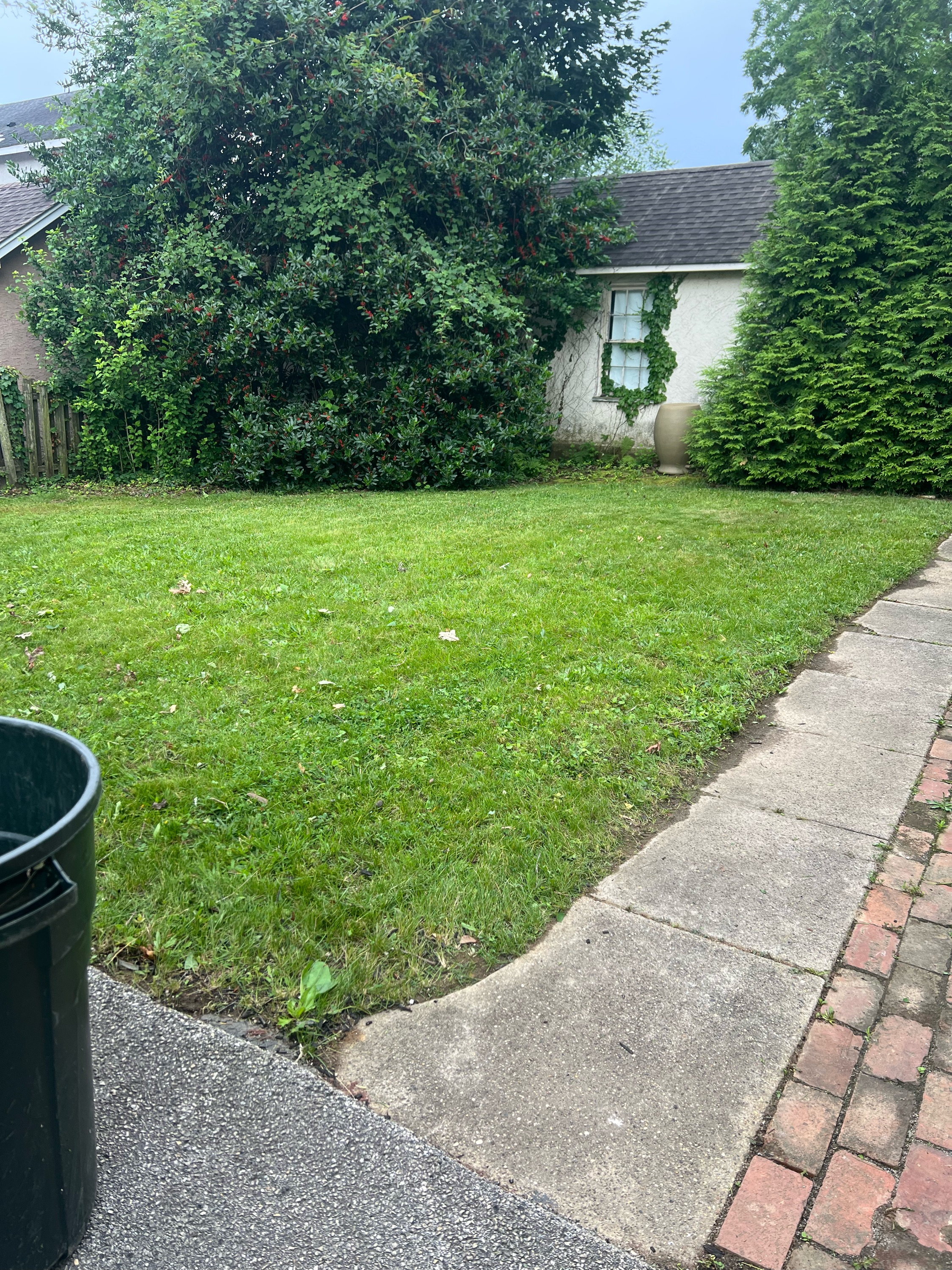 Martin Landscaping Logo