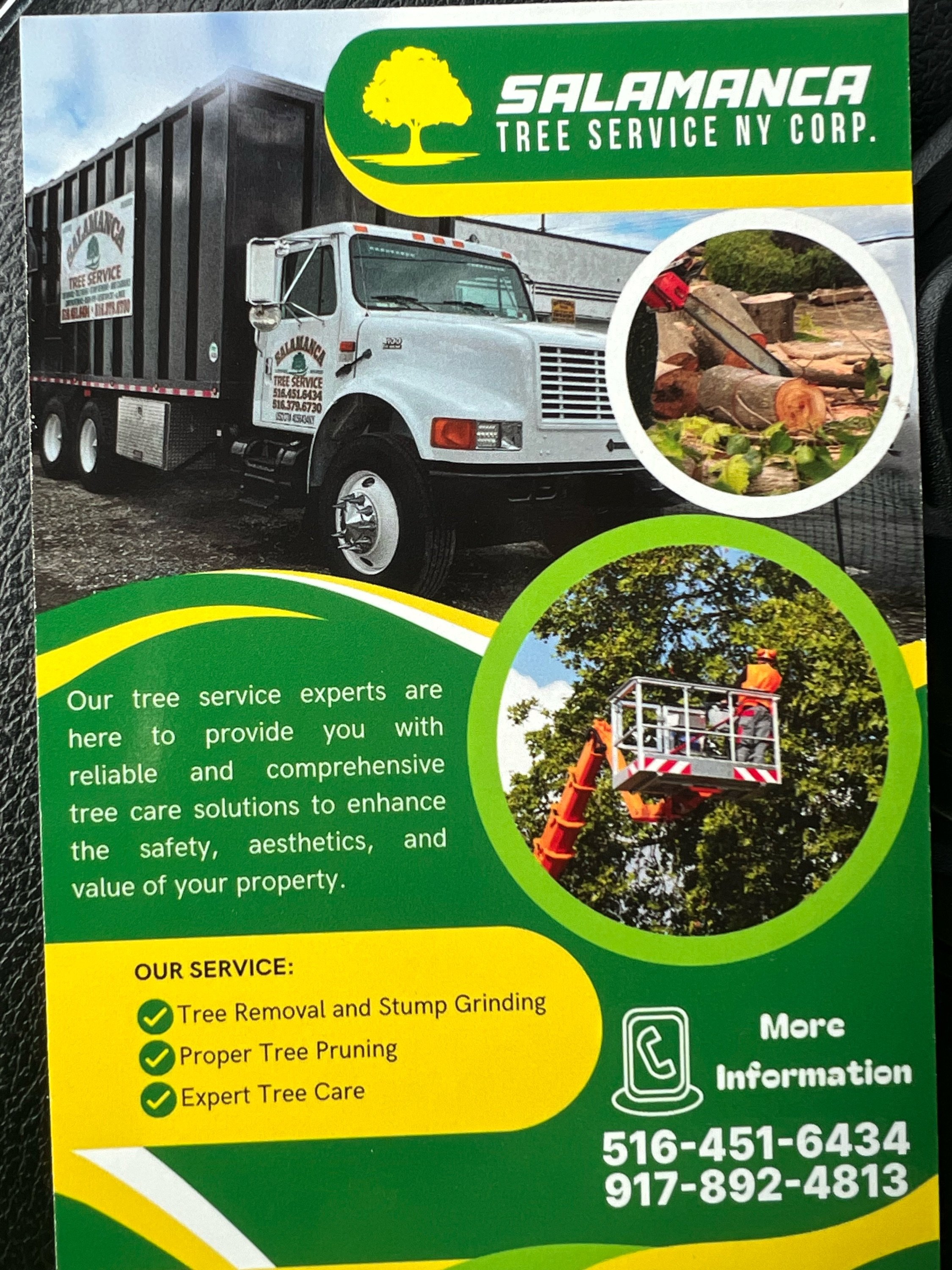 Salamanca Tree and Landscaping Corp Logo