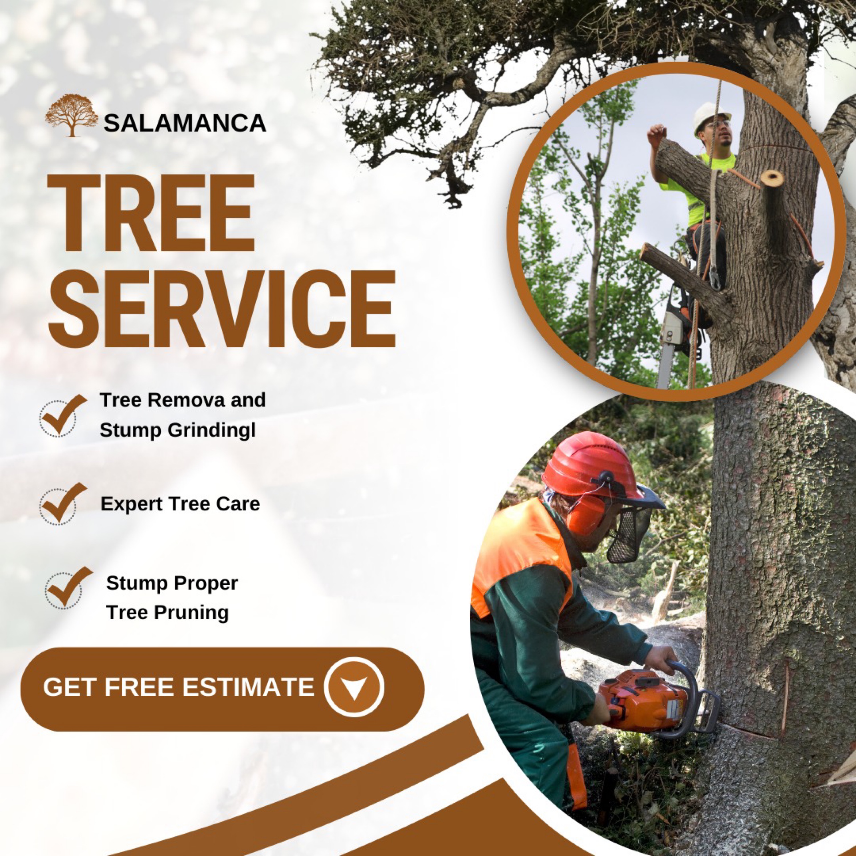 Salamanca Tree and Landscaping Corp Logo