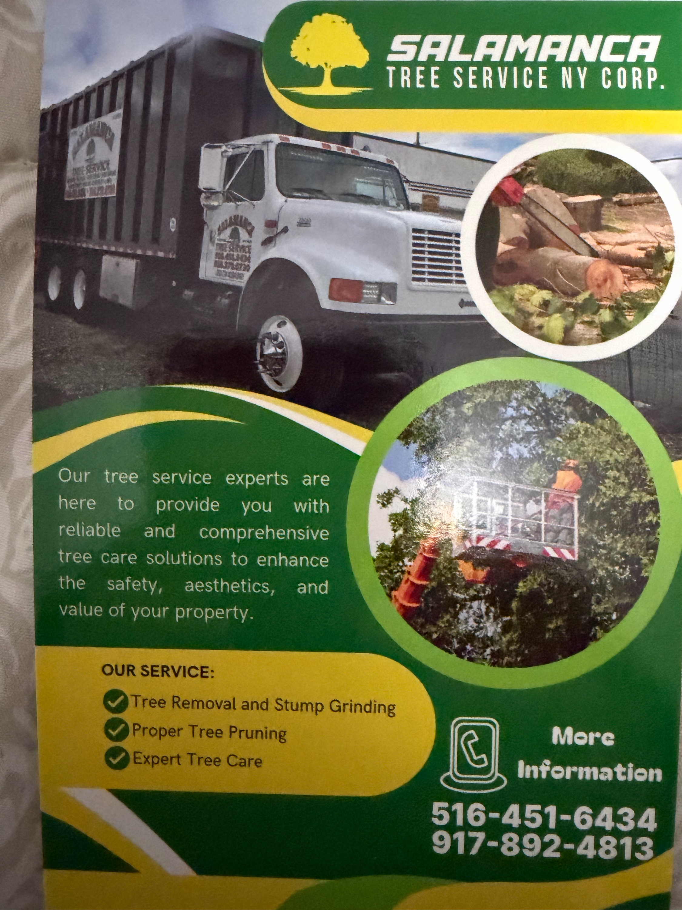 Salamanca Tree and Landscaping Corp Logo