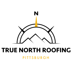 TRUE NORTH ROOFING & MAINTENANCE LLC Logo