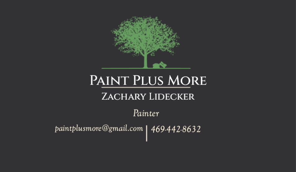 Paint Plus  More Logo