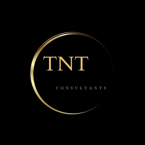 TNT Solutions Logo