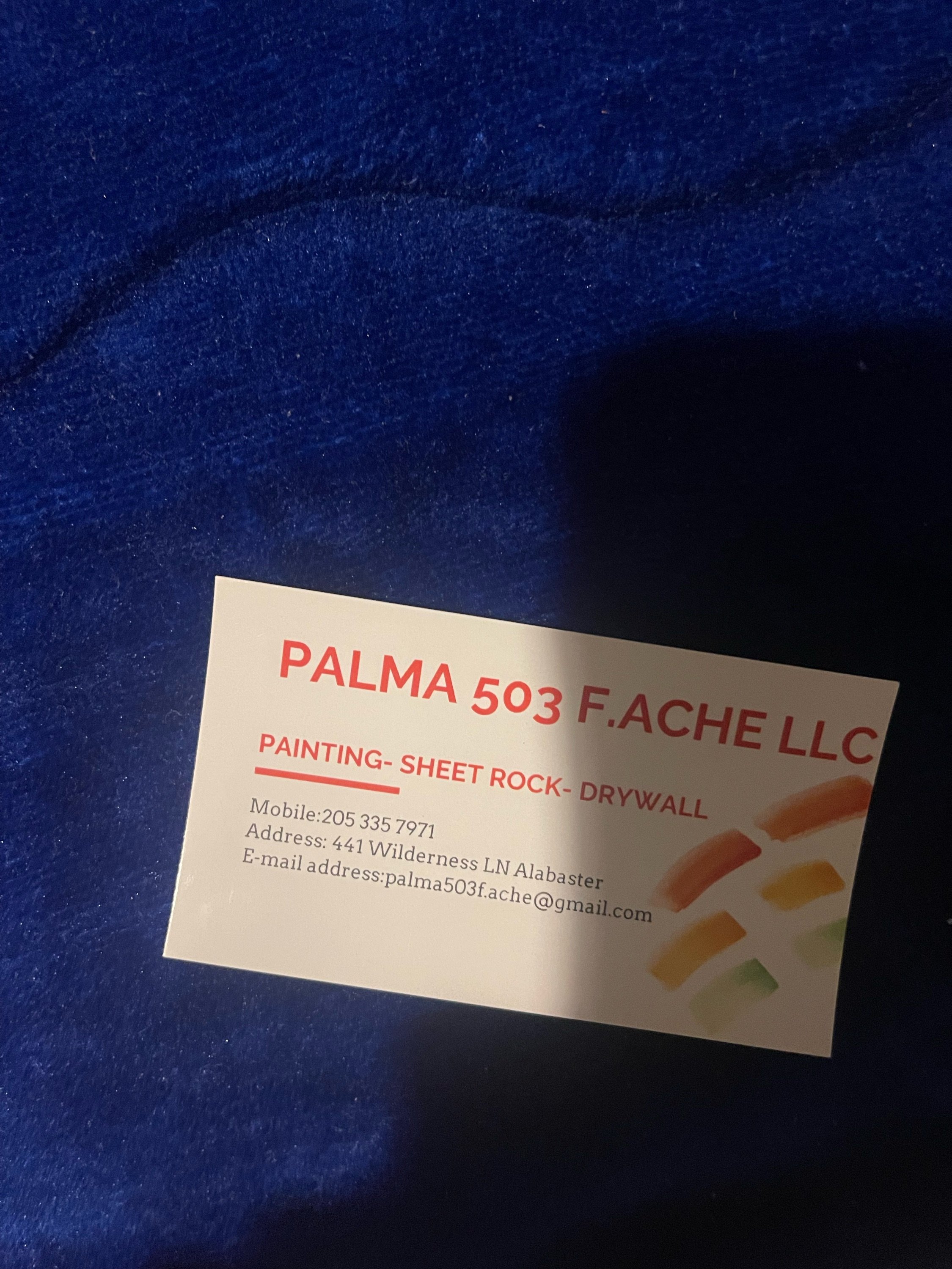 Palma 503 F ACHE LLC Logo