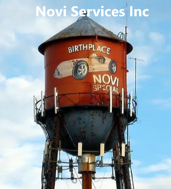 Novi Services Inc Logo
