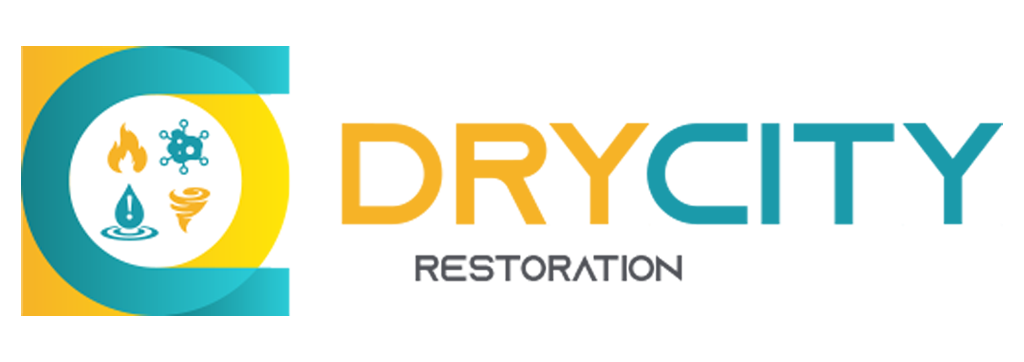 DryCity Restoration Logo