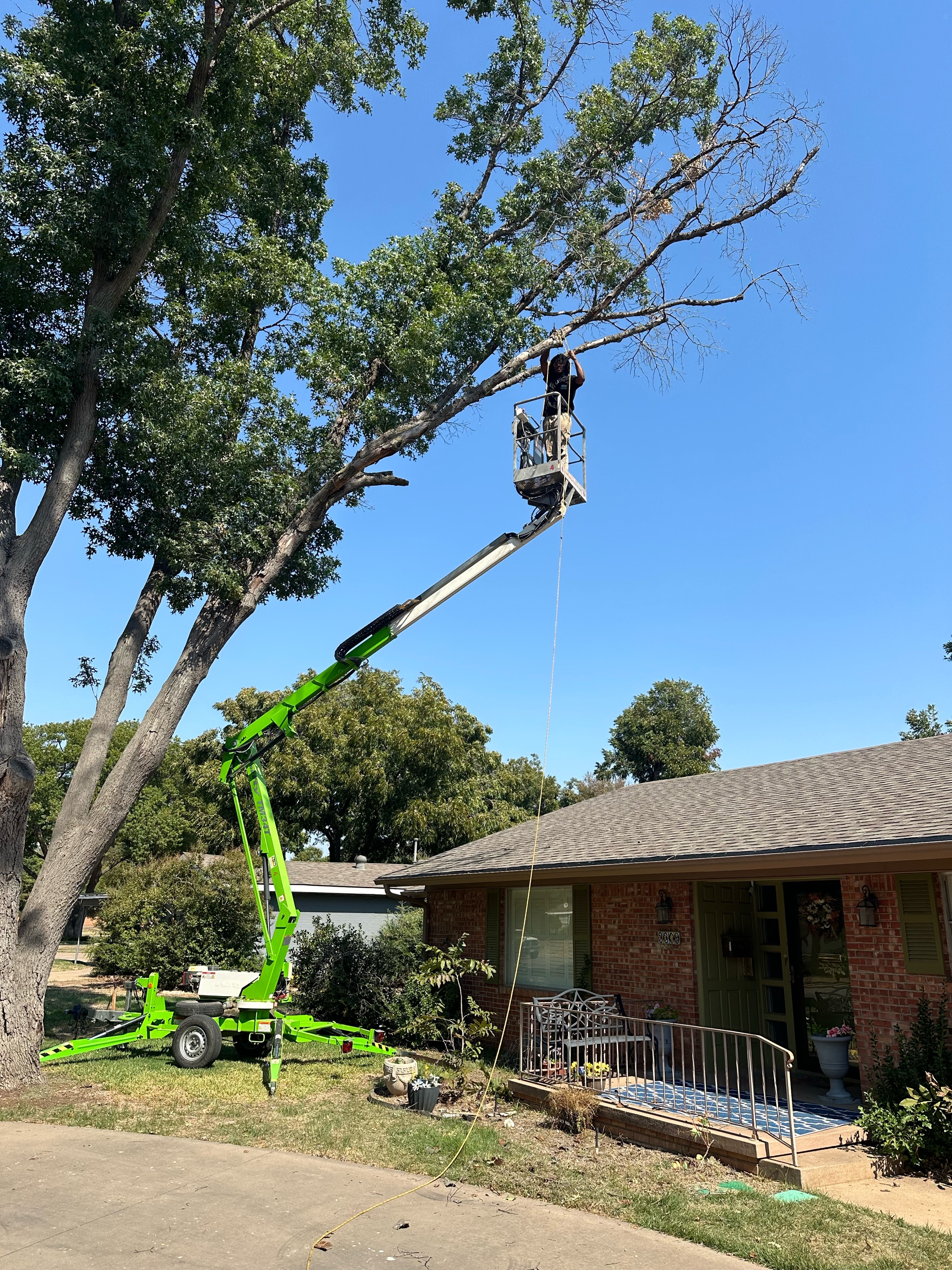 Waggoner Lawn Care Logo