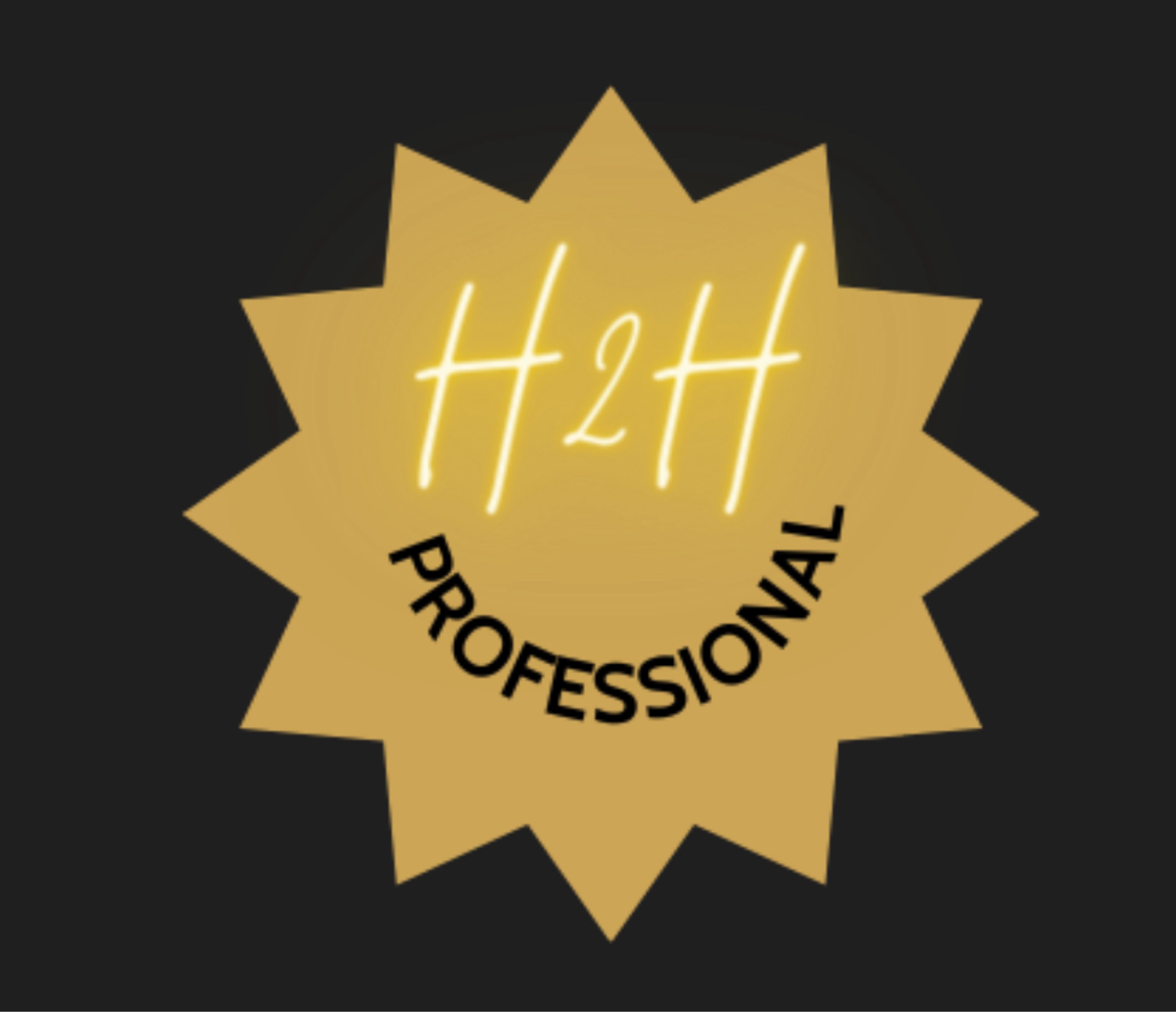 H2H Professional Services Logo