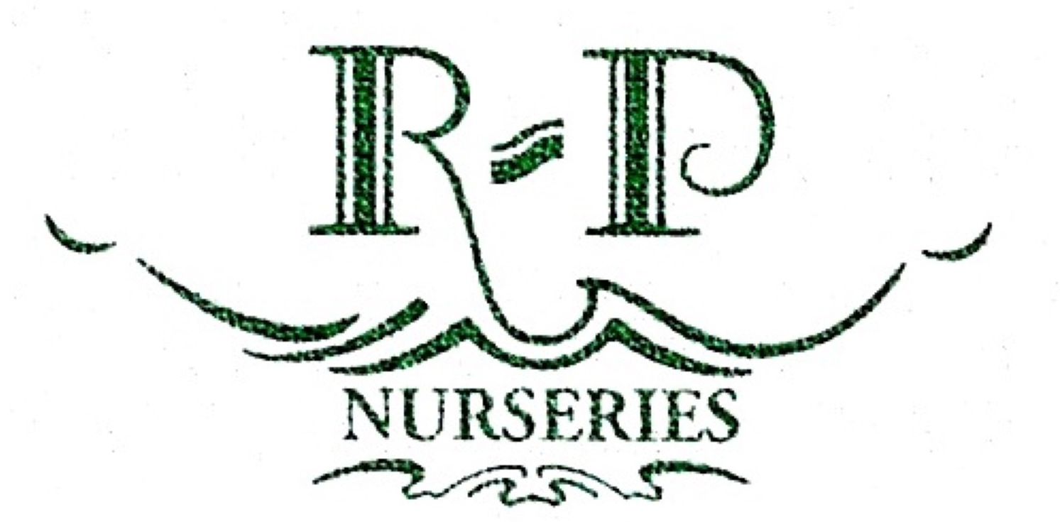 R-P Nurseries, LLC Logo