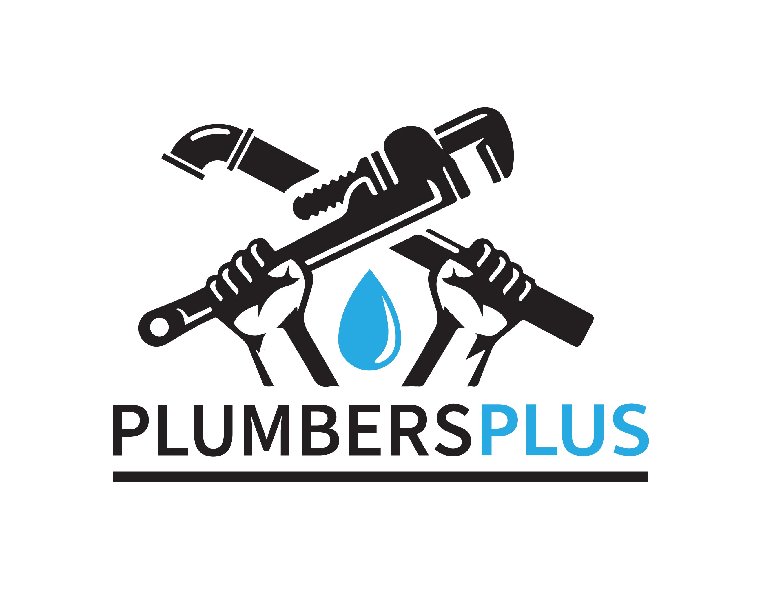 PLUMBERS PLUS, LLC Logo
