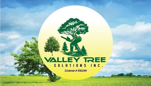 VALLEY TREE SOLUTIONS INC Logo