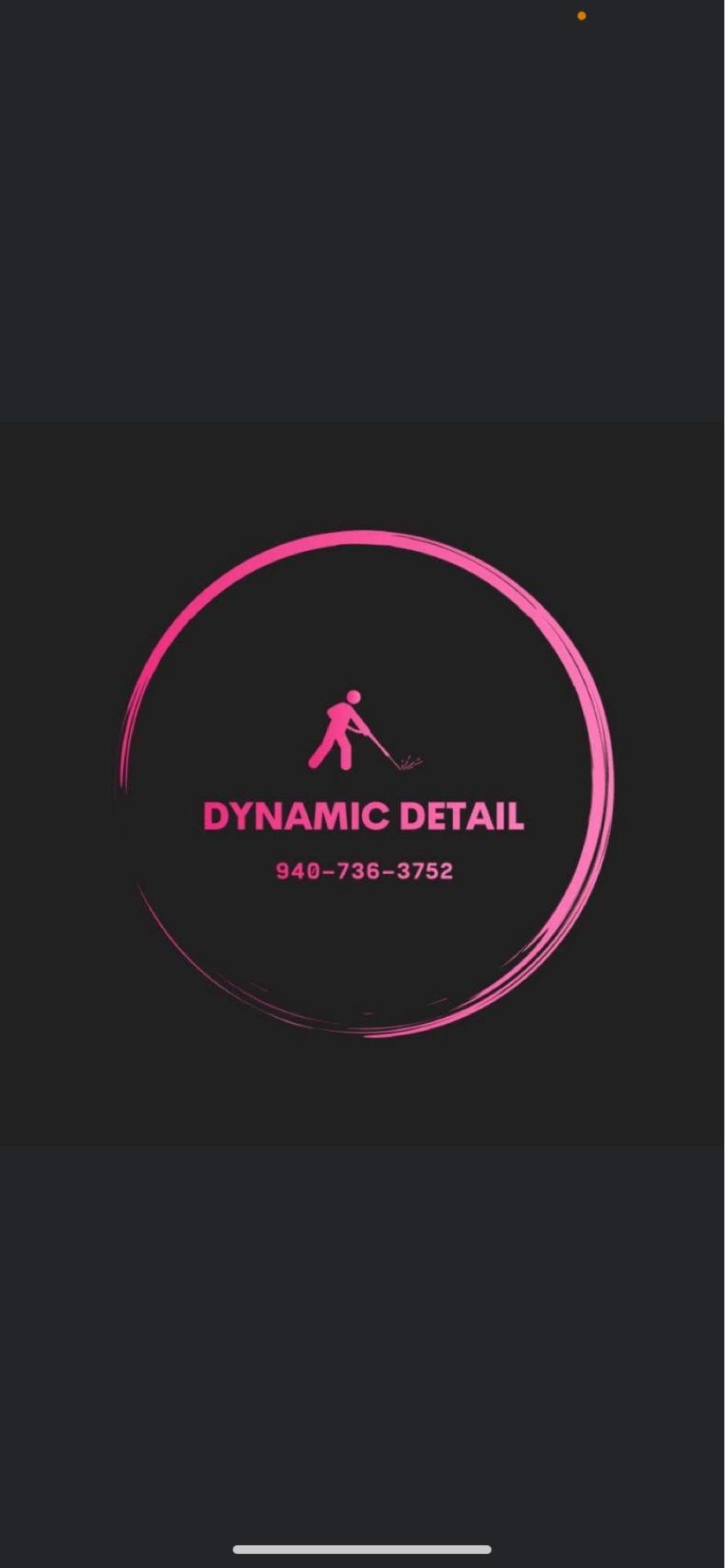Dynamic Detailing Logo