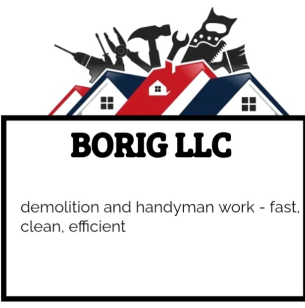 BORIG LLC Logo