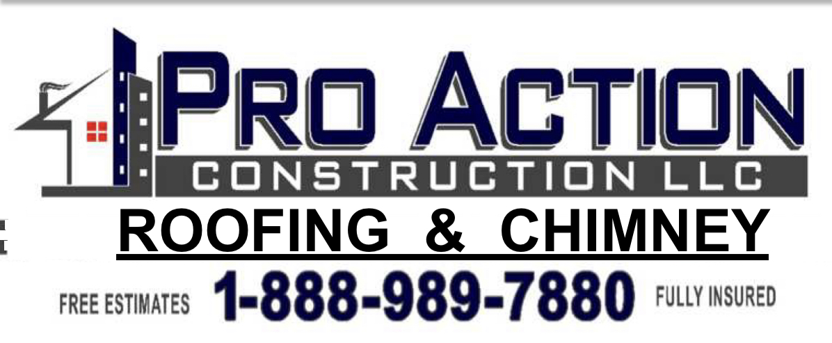 Pro Action General Construction LLC Logo