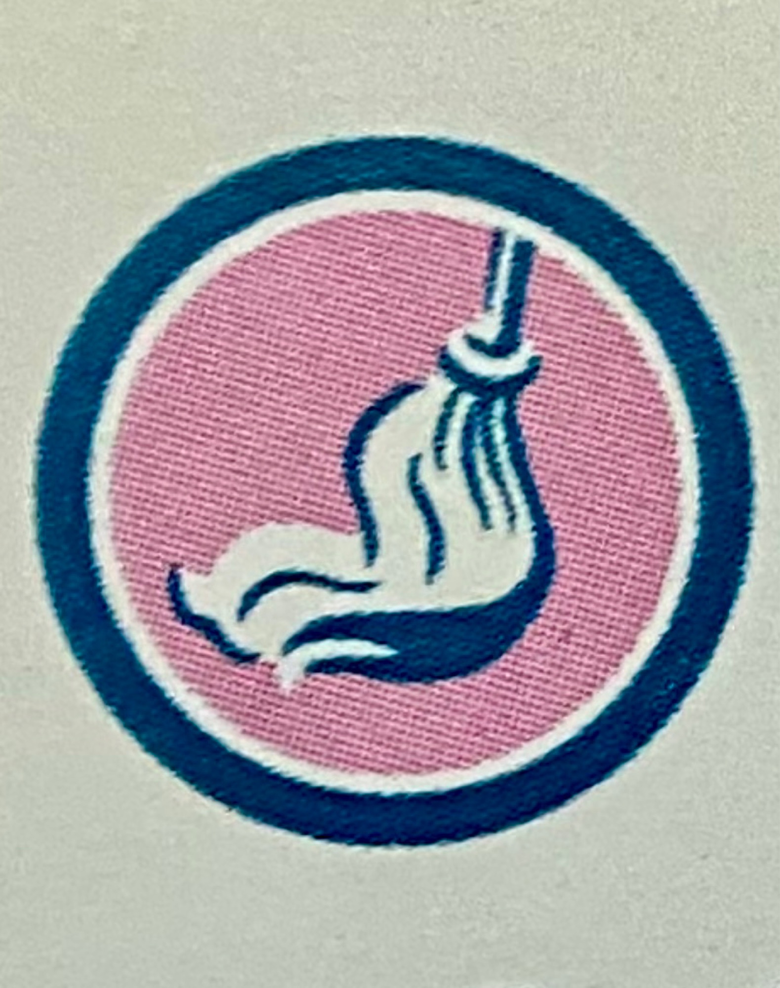 Cha Cha Cleaning Logo