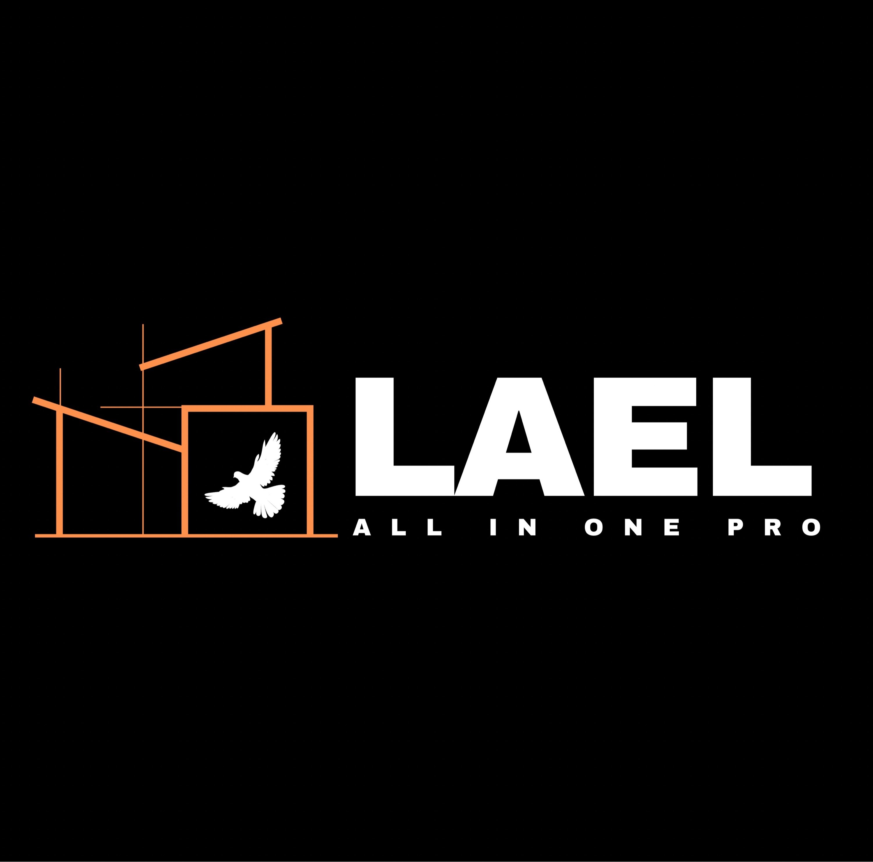 Lael All In One Pro LLC Logo