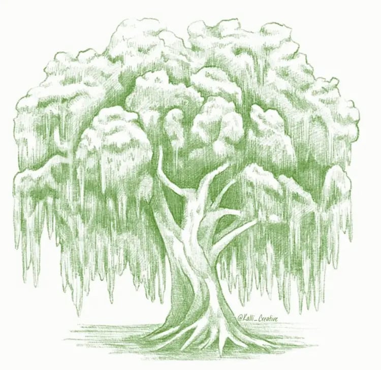 Willow Woodwork Logo