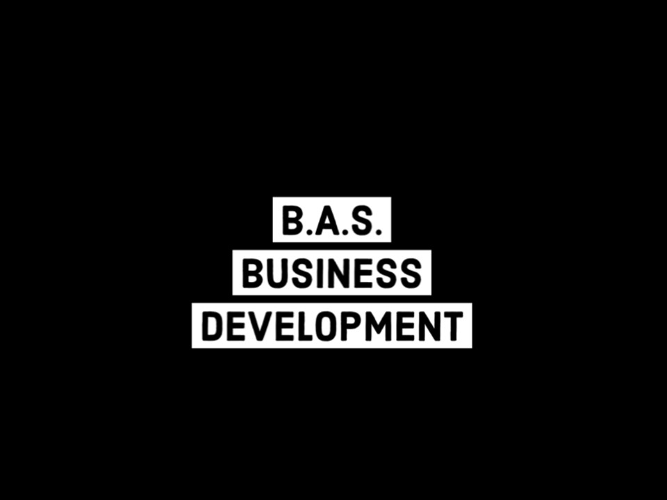 BAS Business Development LLC Logo