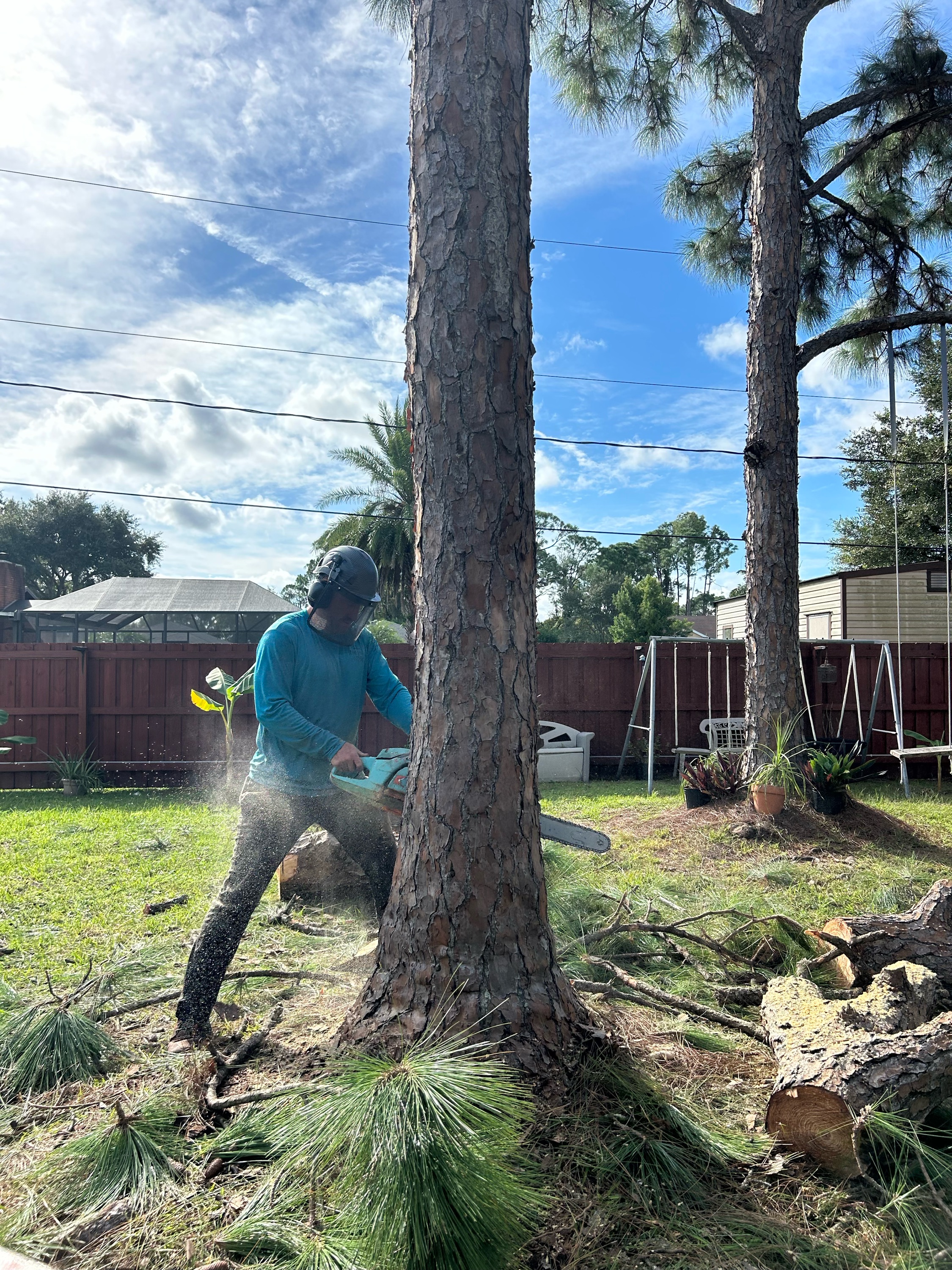 Uprooted Tree and Lawn Care Logo