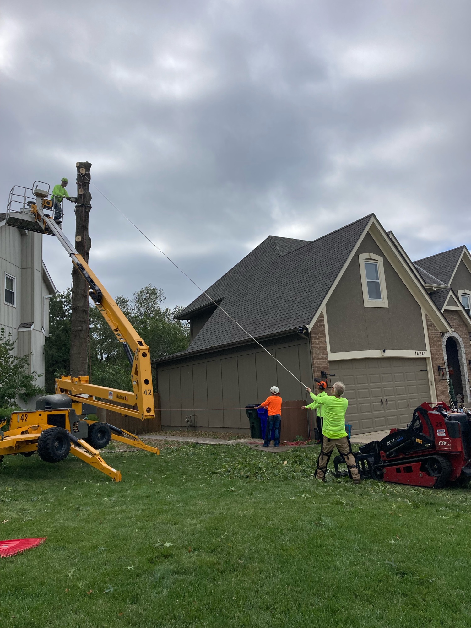 Suburban Tree Care Logo
