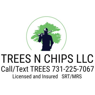 Trees N Chips Logo