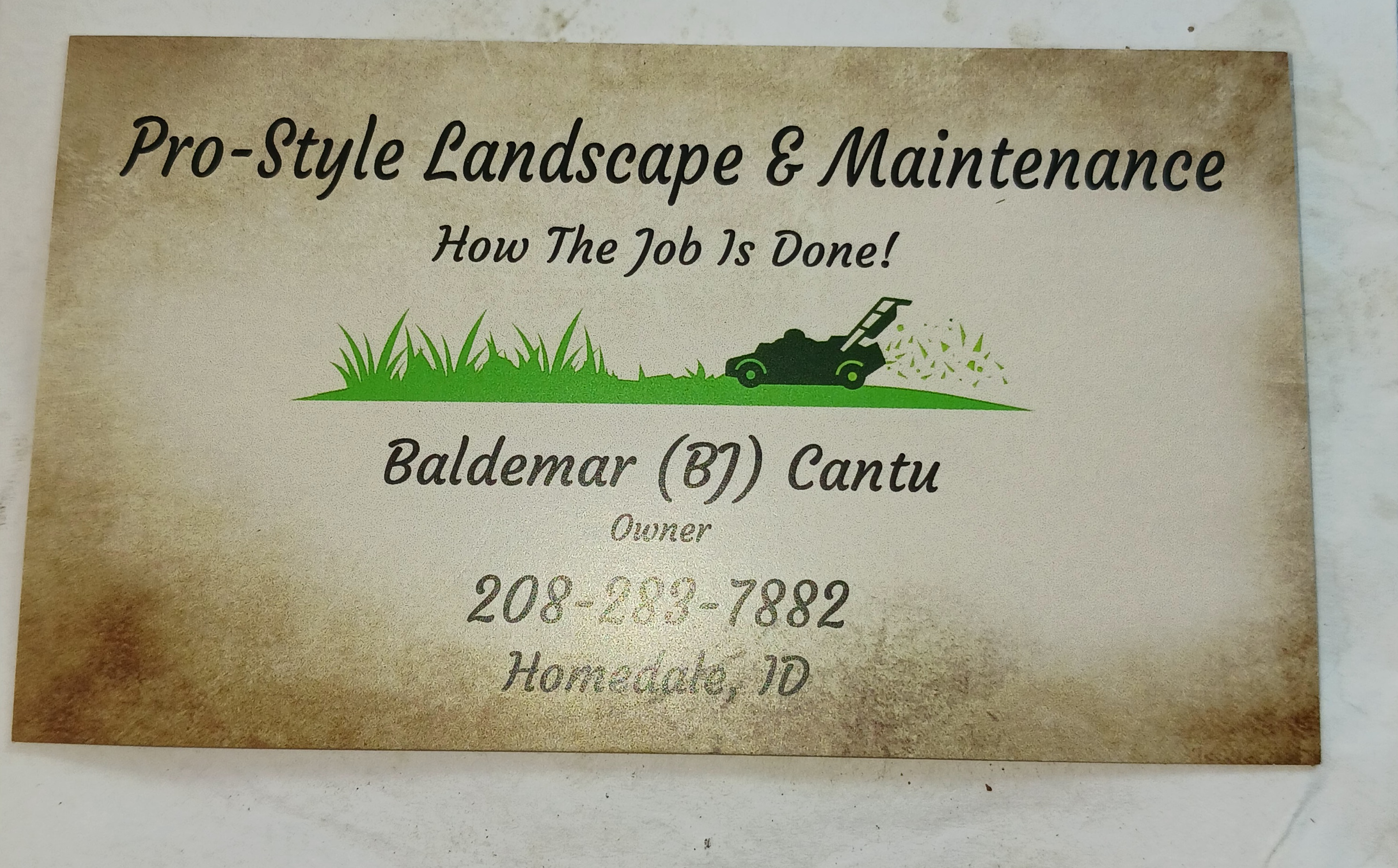 Pro Style Landscaping & Maintenance Logo