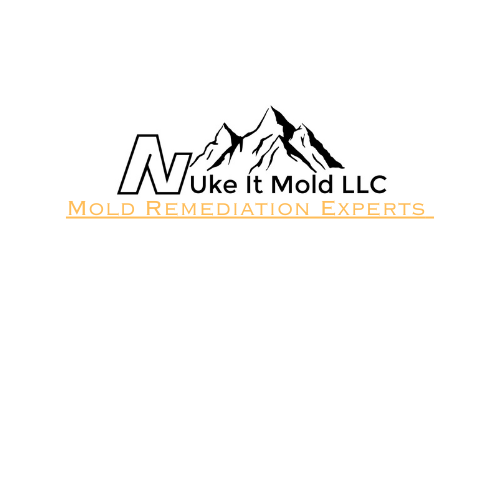 Nuke It Mold Logo