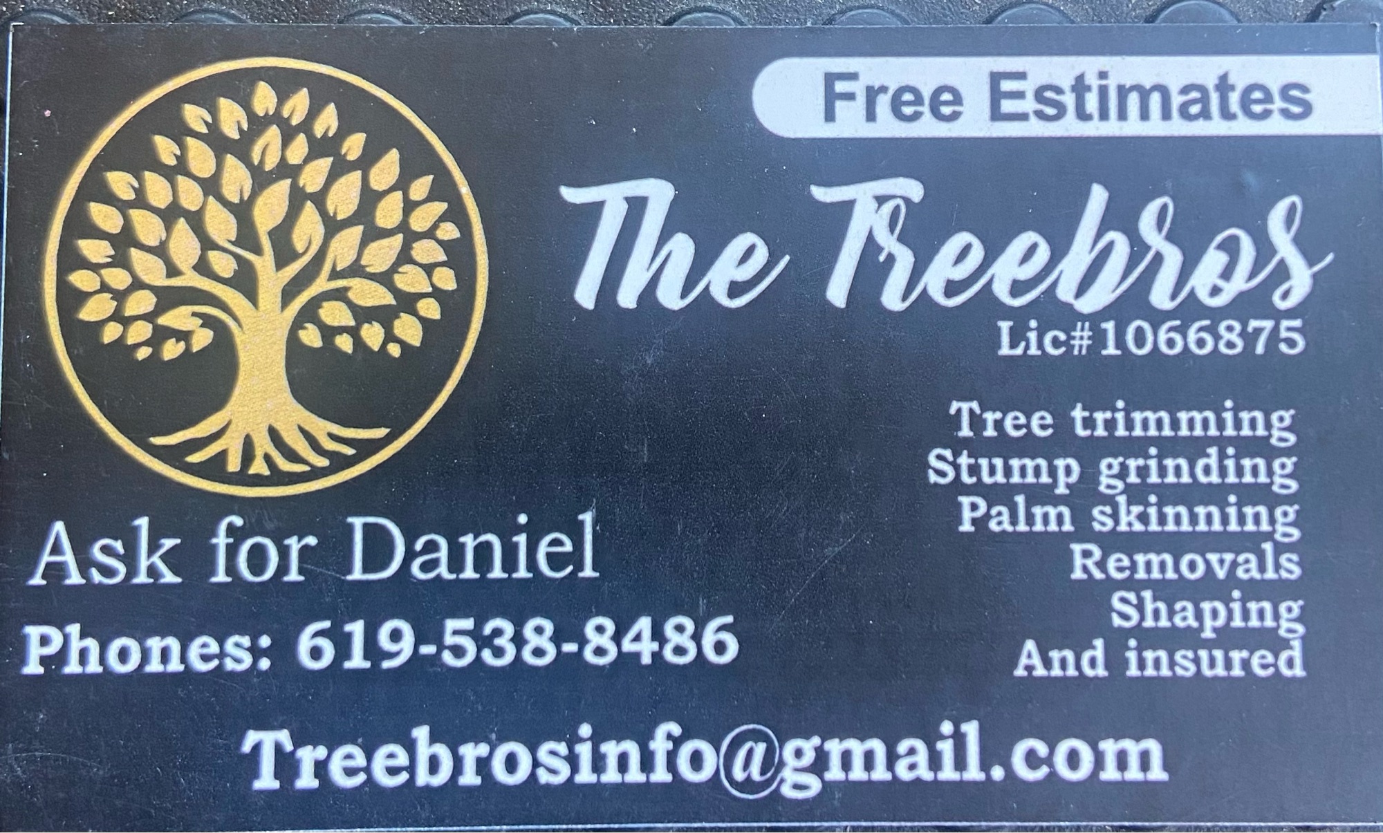 The Tree Bros Logo