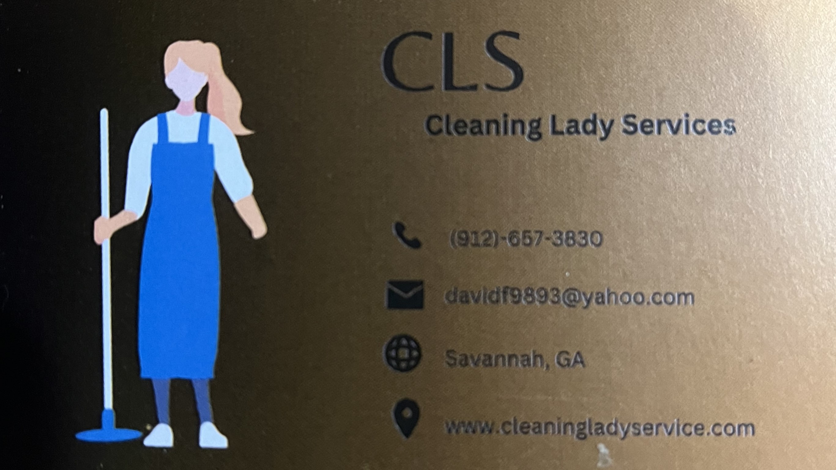 Cleaning Lady Service LLC Logo