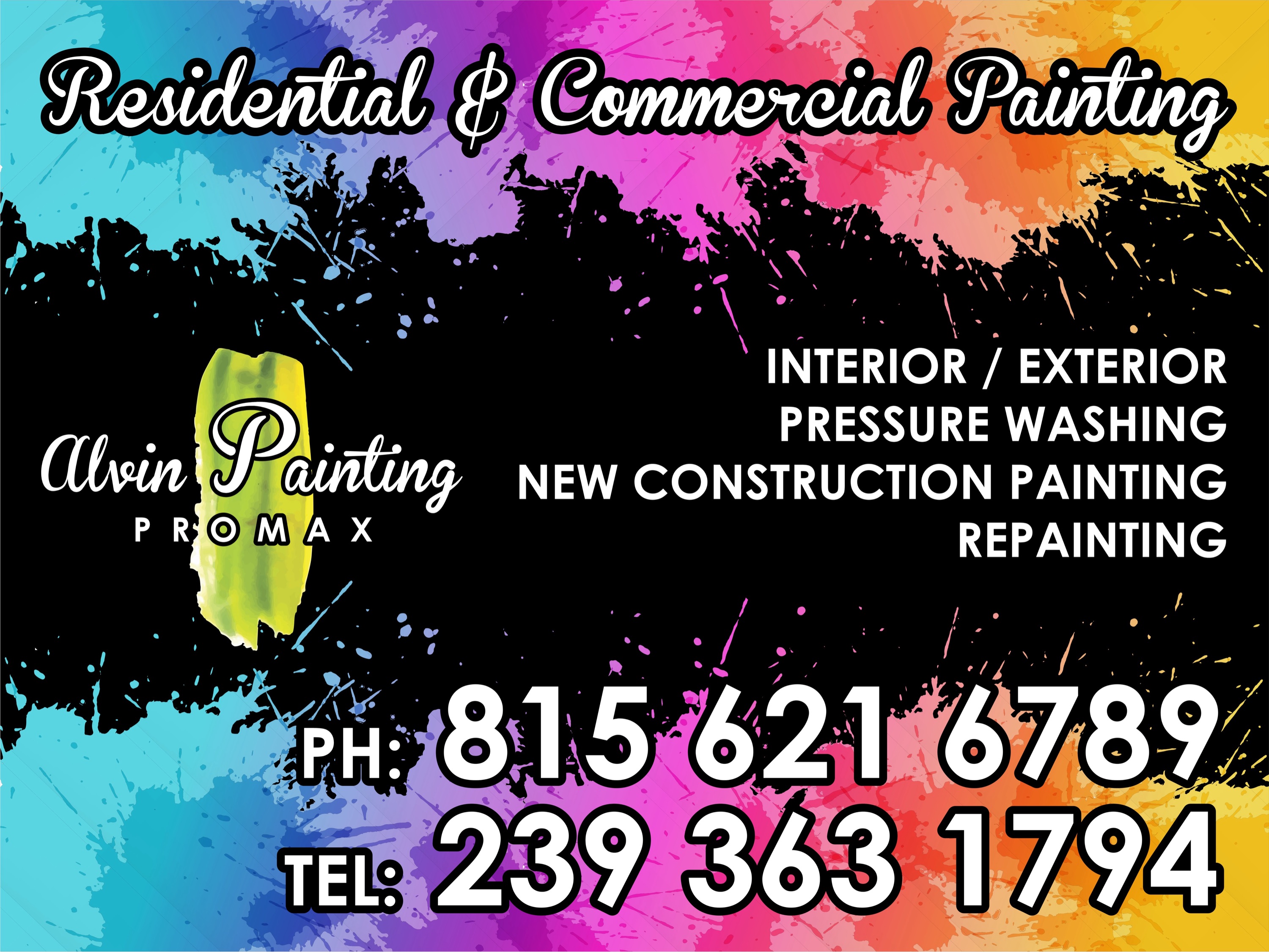 ALVIN PAINTING PROMAX Logo