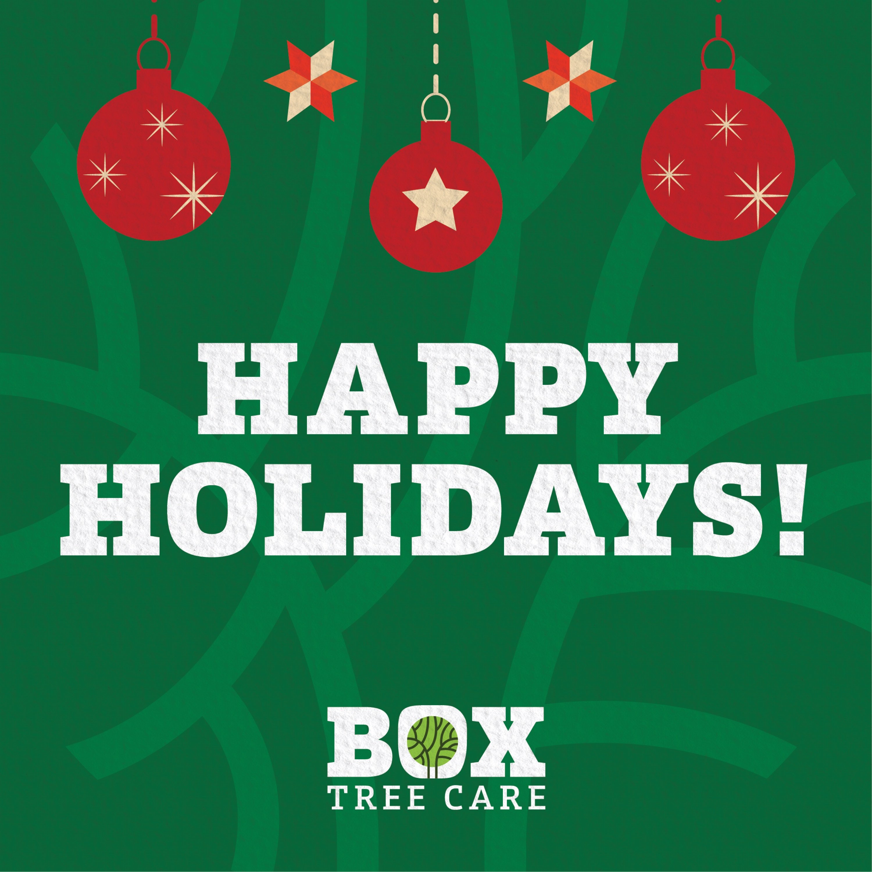 Box Tree Care Logo