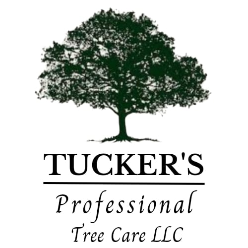 Tucker's Professional Tree Care LLC Logo