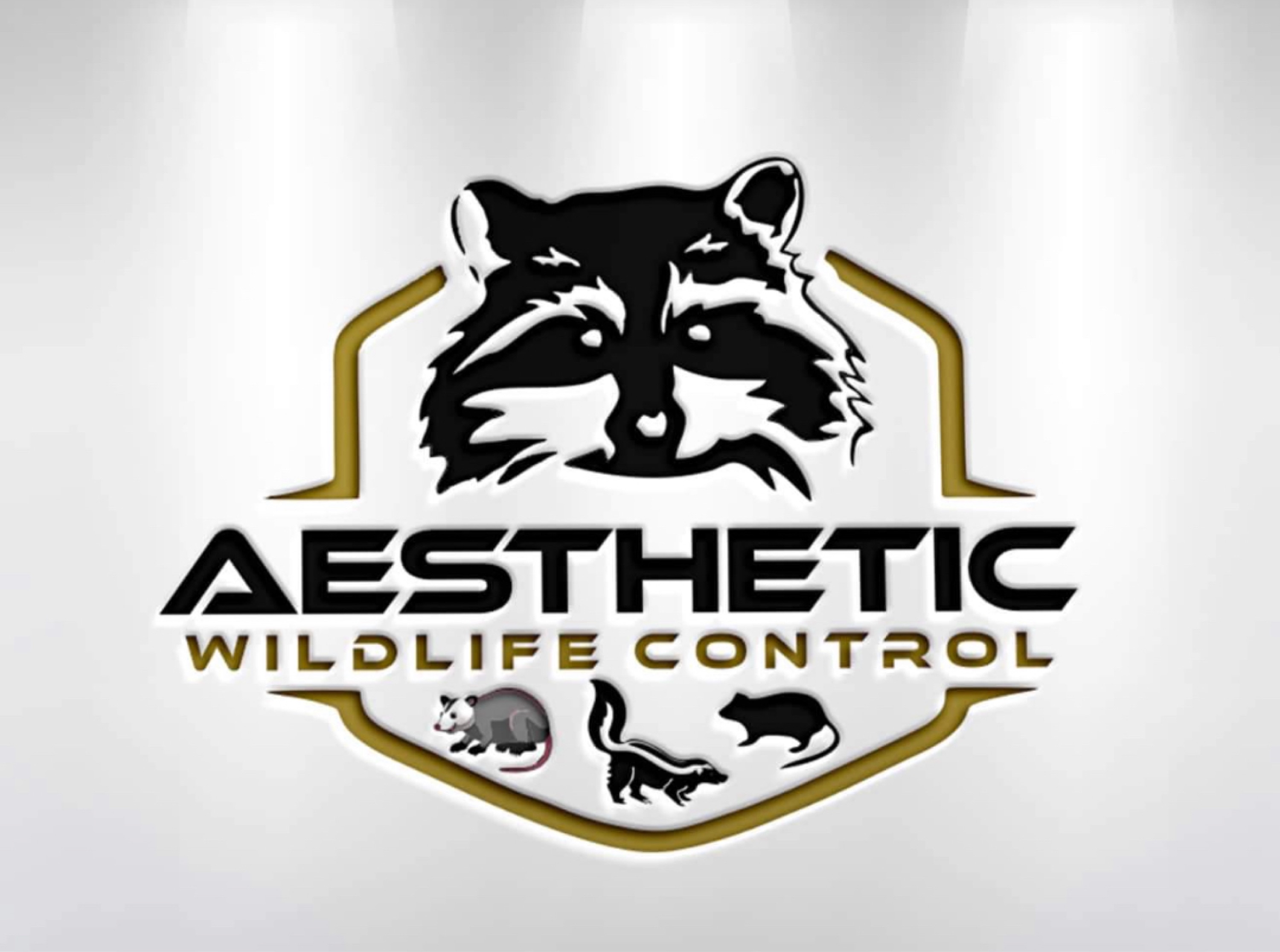 Aesthetic Wildlife Control Logo