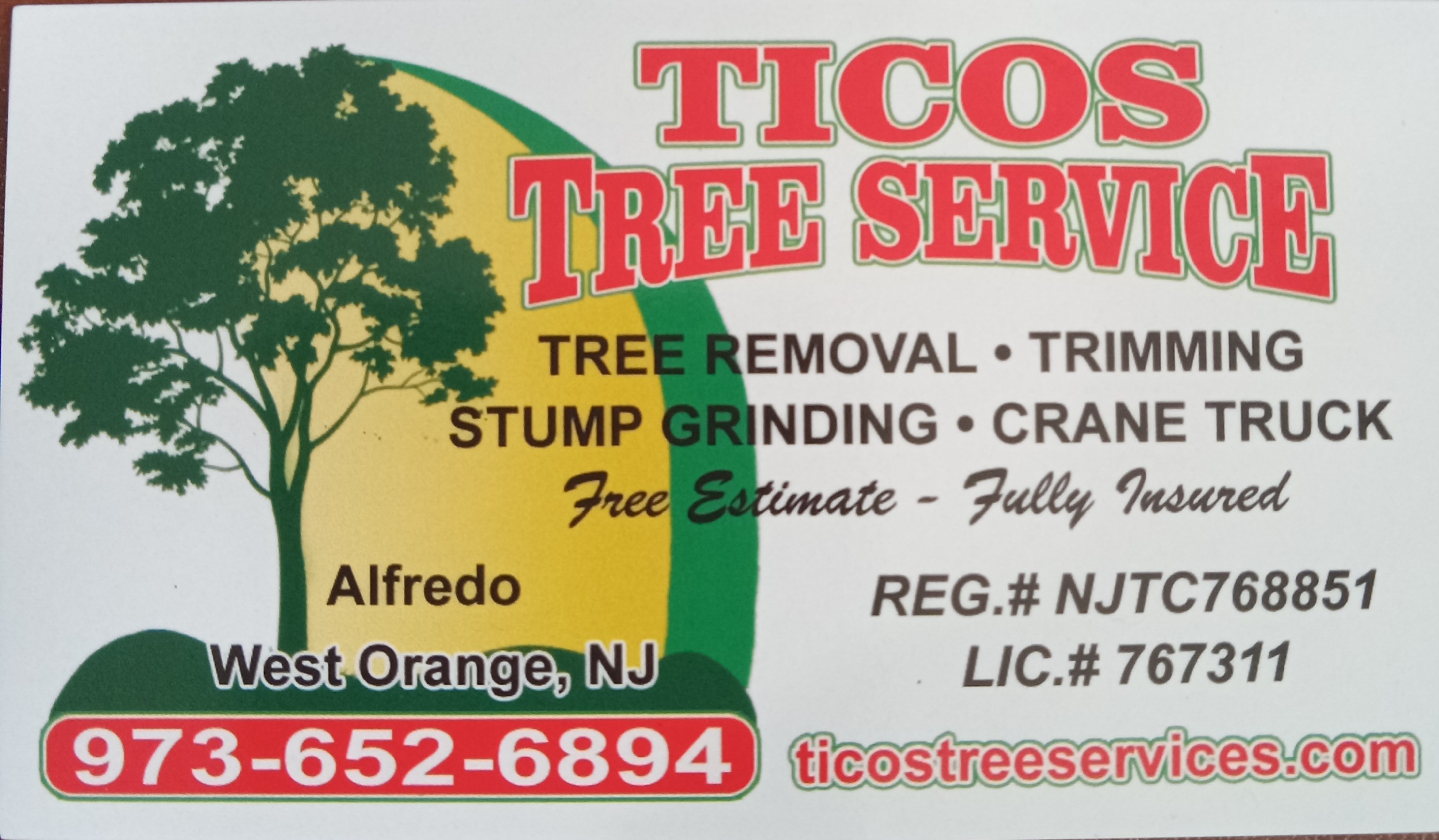 Tico's Tree Service, LLC Logo