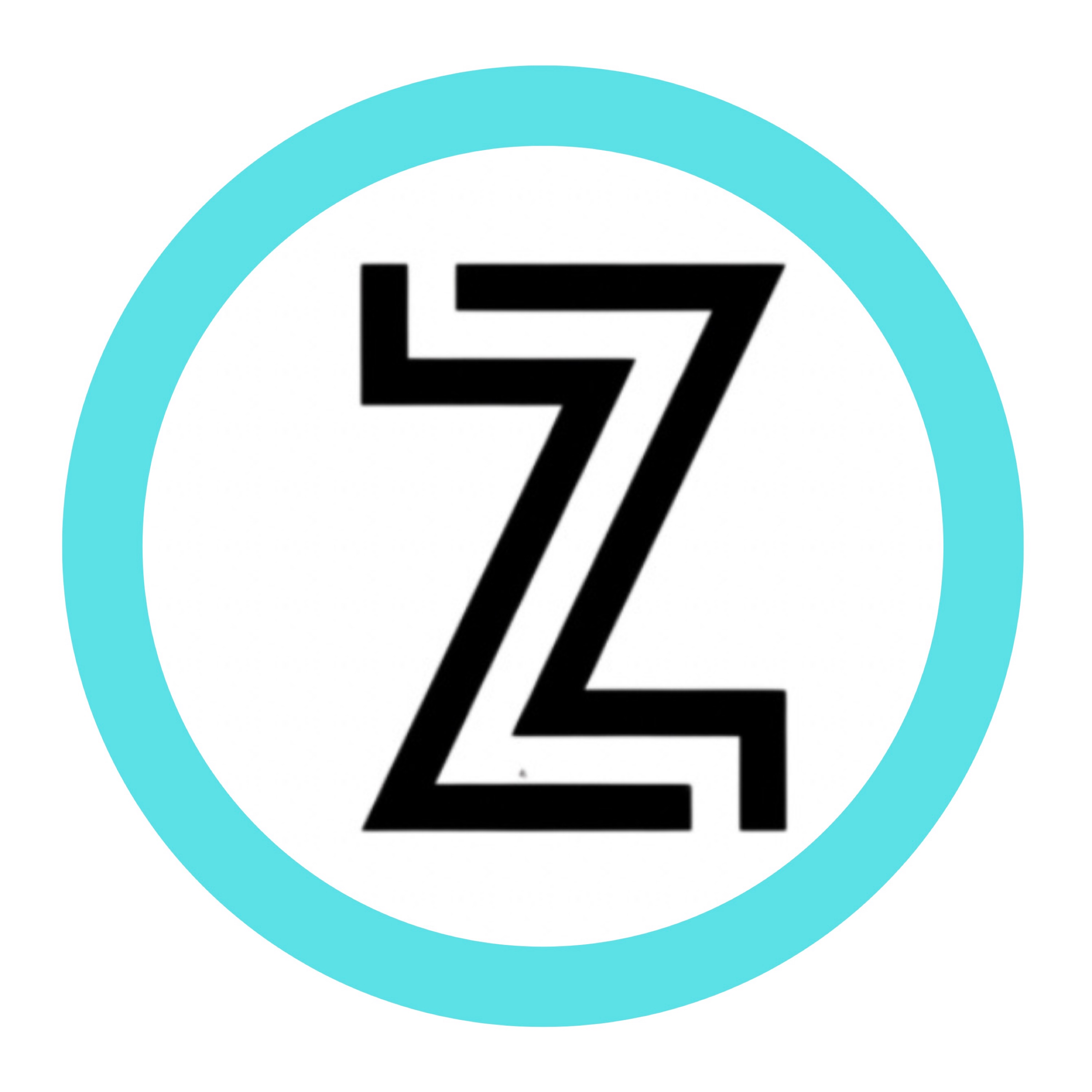 Z & Z Gutter, LLC Logo